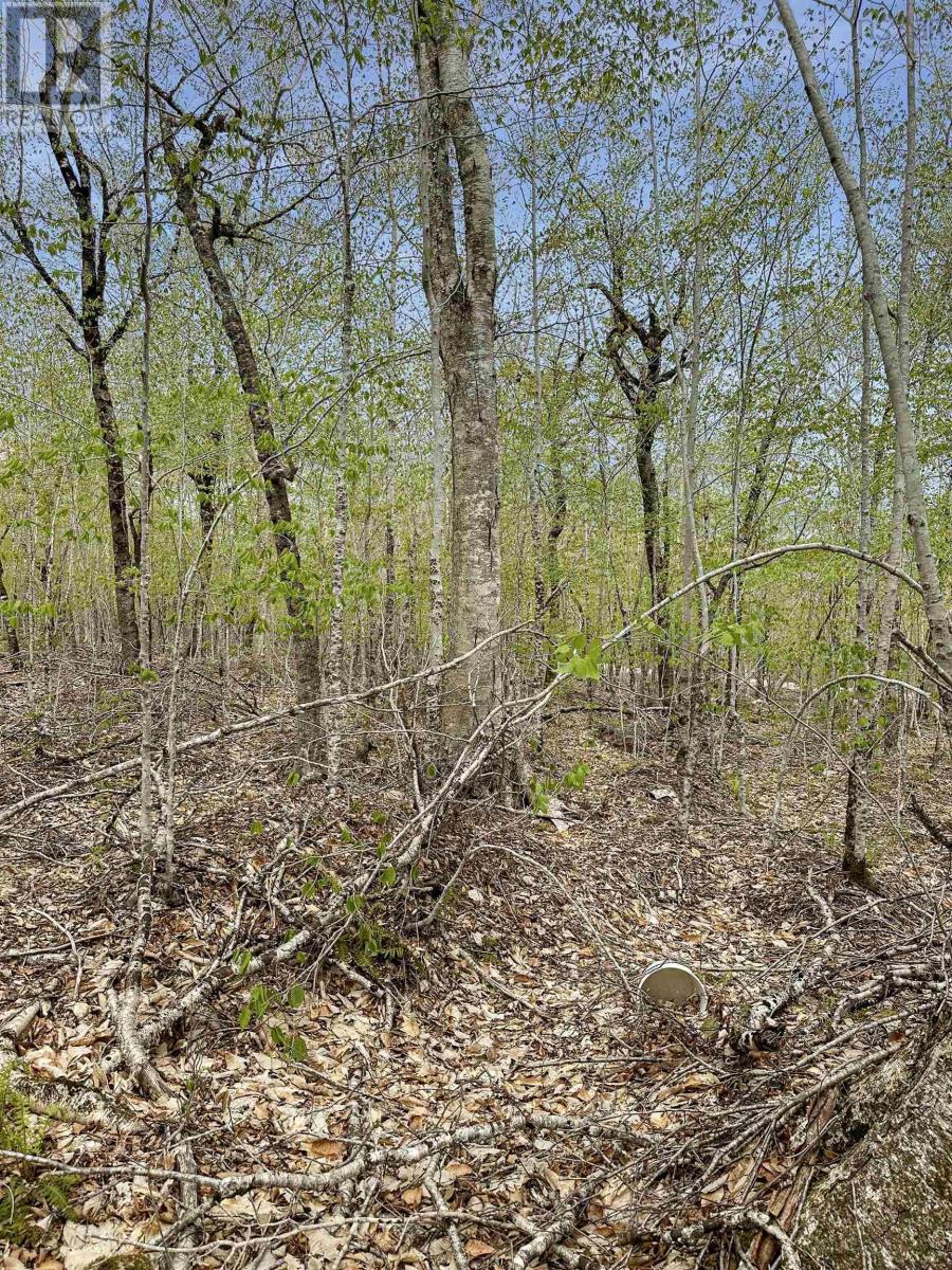 Vacant Land for Sale in C HILLCREST Drive Dalhousie 