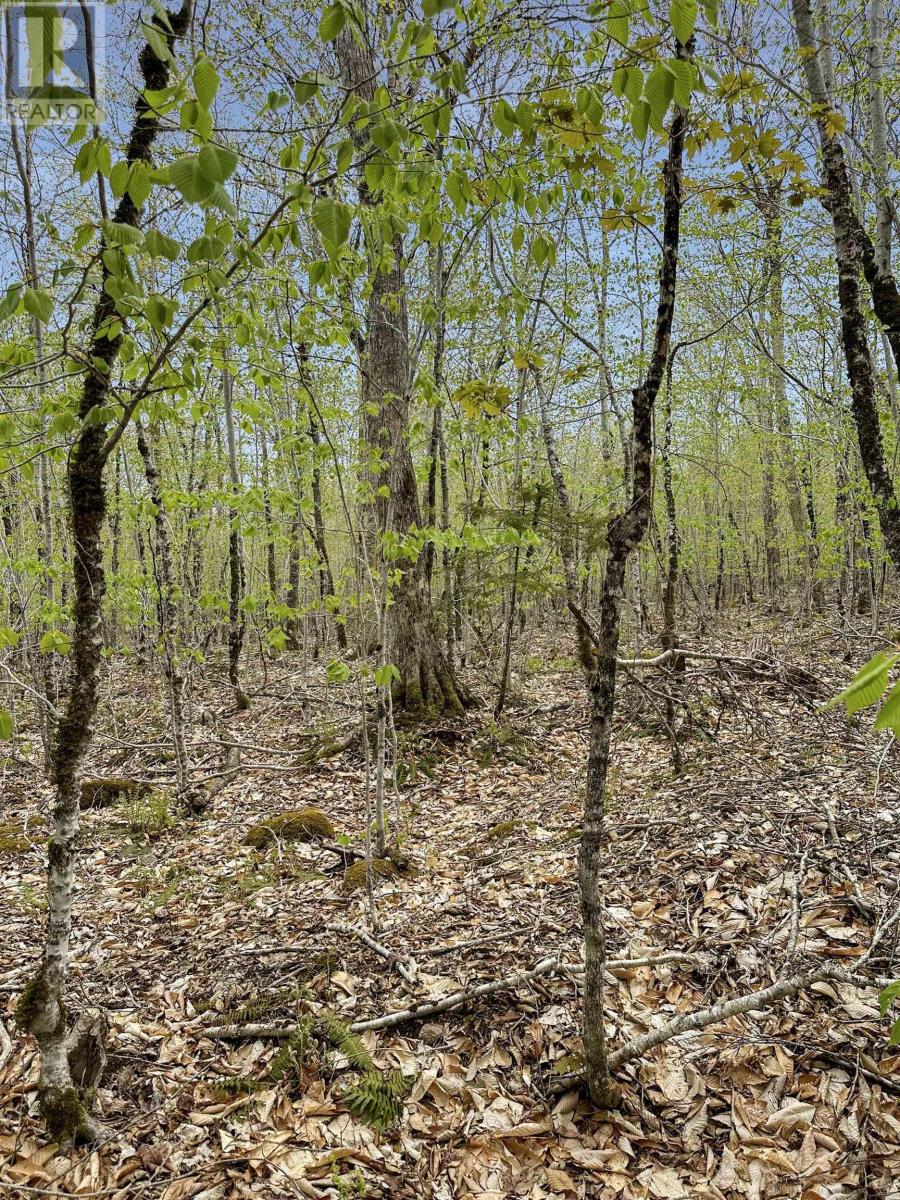 Vacant Land for Sale in C HILLCREST Drive Dalhousie 