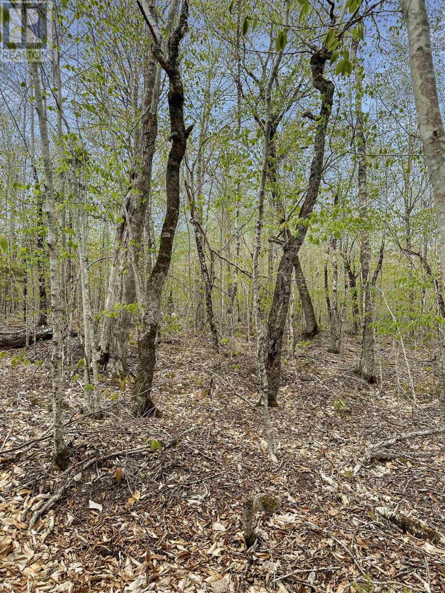 Vacant Land for Sale in C HILLCREST Drive Dalhousie 