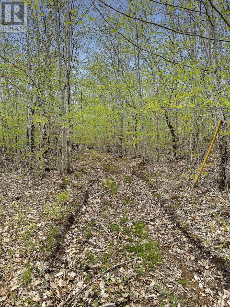 Vacant Land for Sale in C HILLCREST Drive Dalhousie 