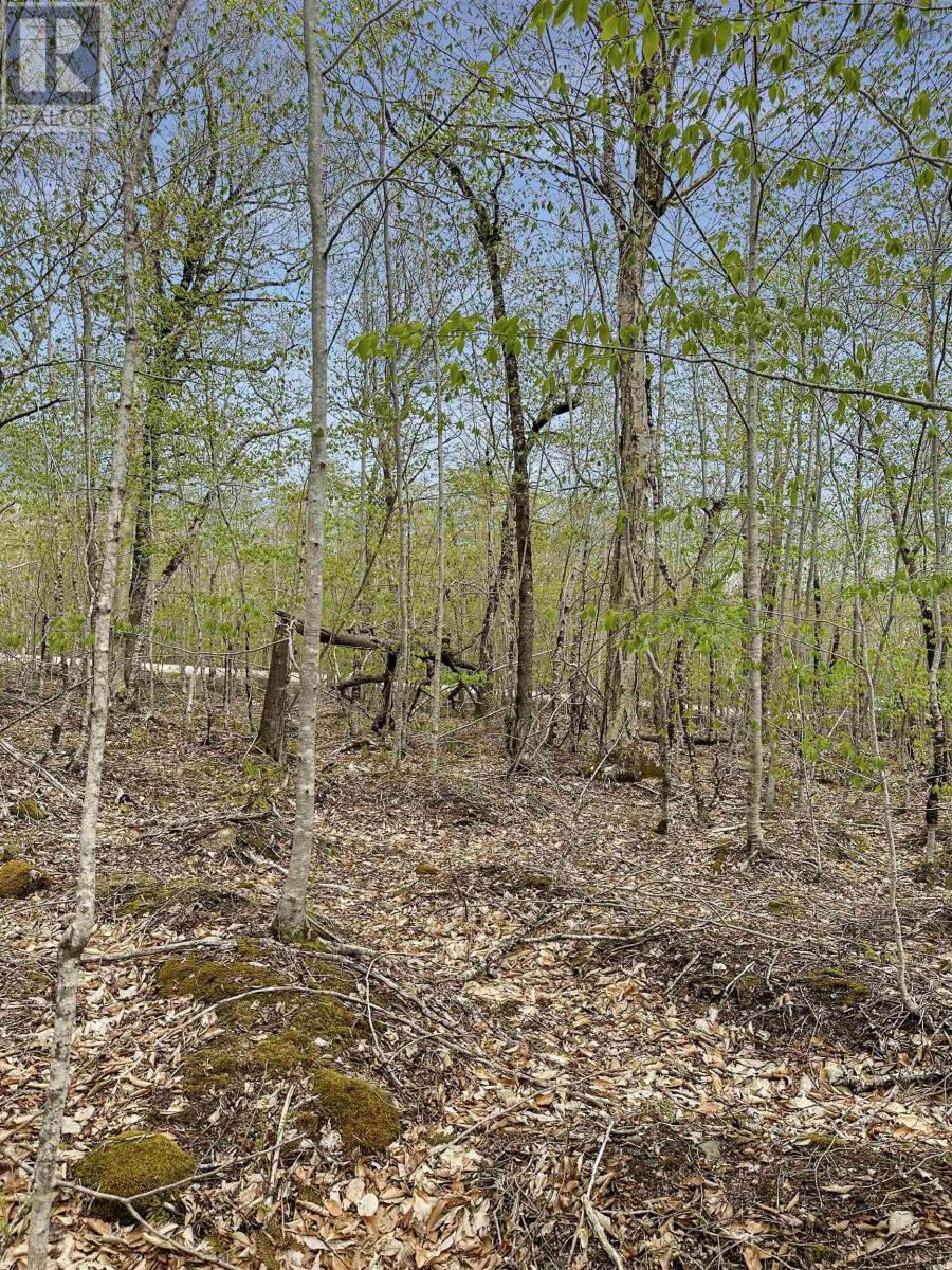 Vacant Land for Sale in C HILLCREST Drive Dalhousie 