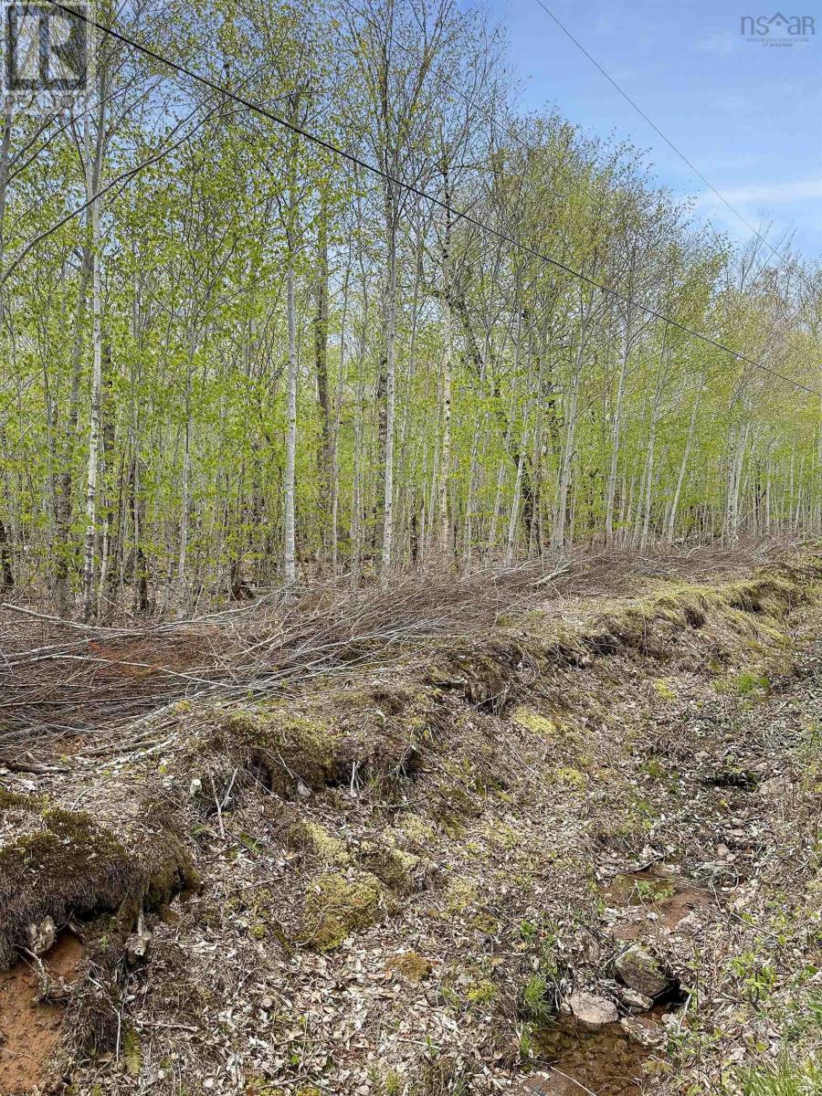 Vacant Land for Sale in C HILLCREST Drive Dalhousie 