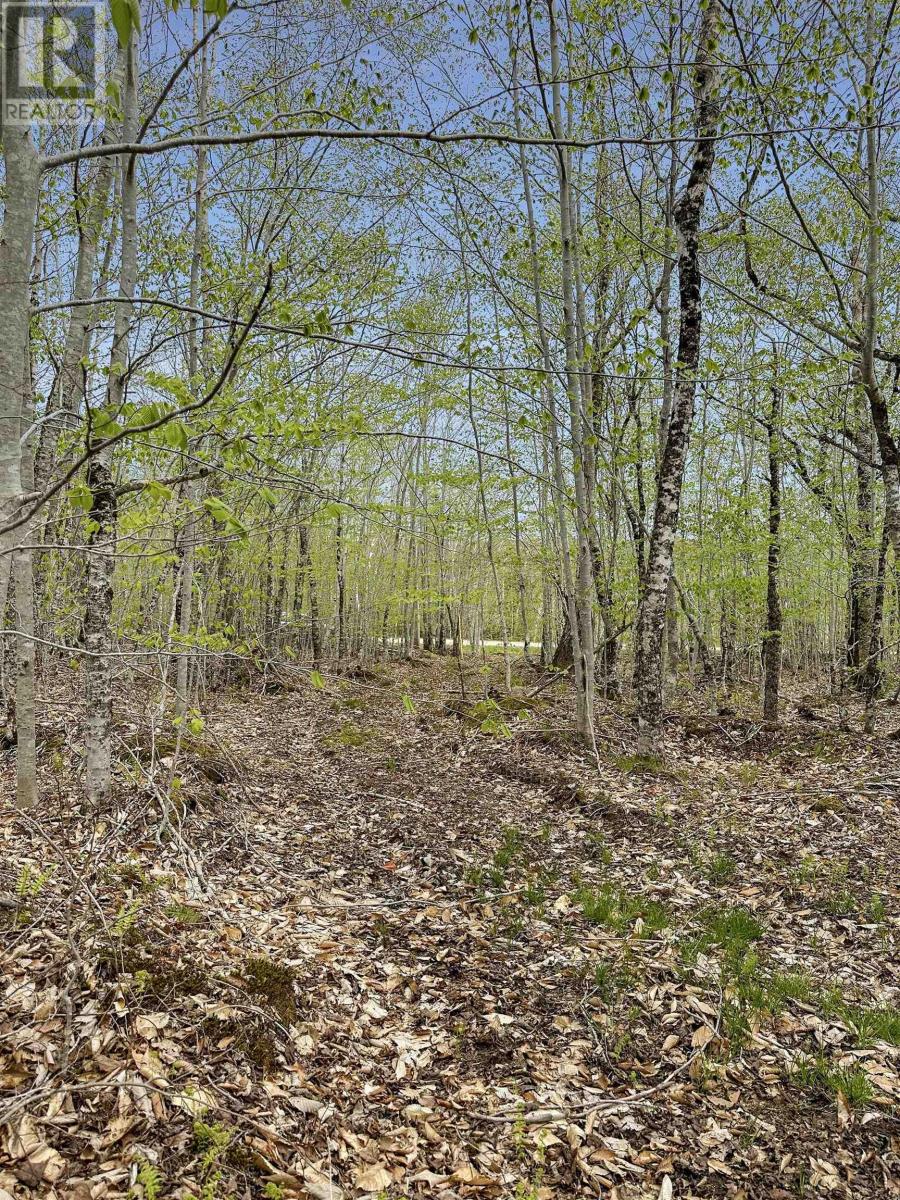 Vacant Land for Sale in C HILLCREST Drive Dalhousie 