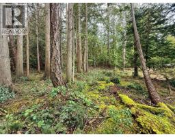 Lt 37 Dirksen Rd, Gabriola Island, BC V0R1X2 Photo 7