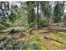 Lt 37 Dirksen Rd, Gabriola Island, BC V0R1X2 Photo 9