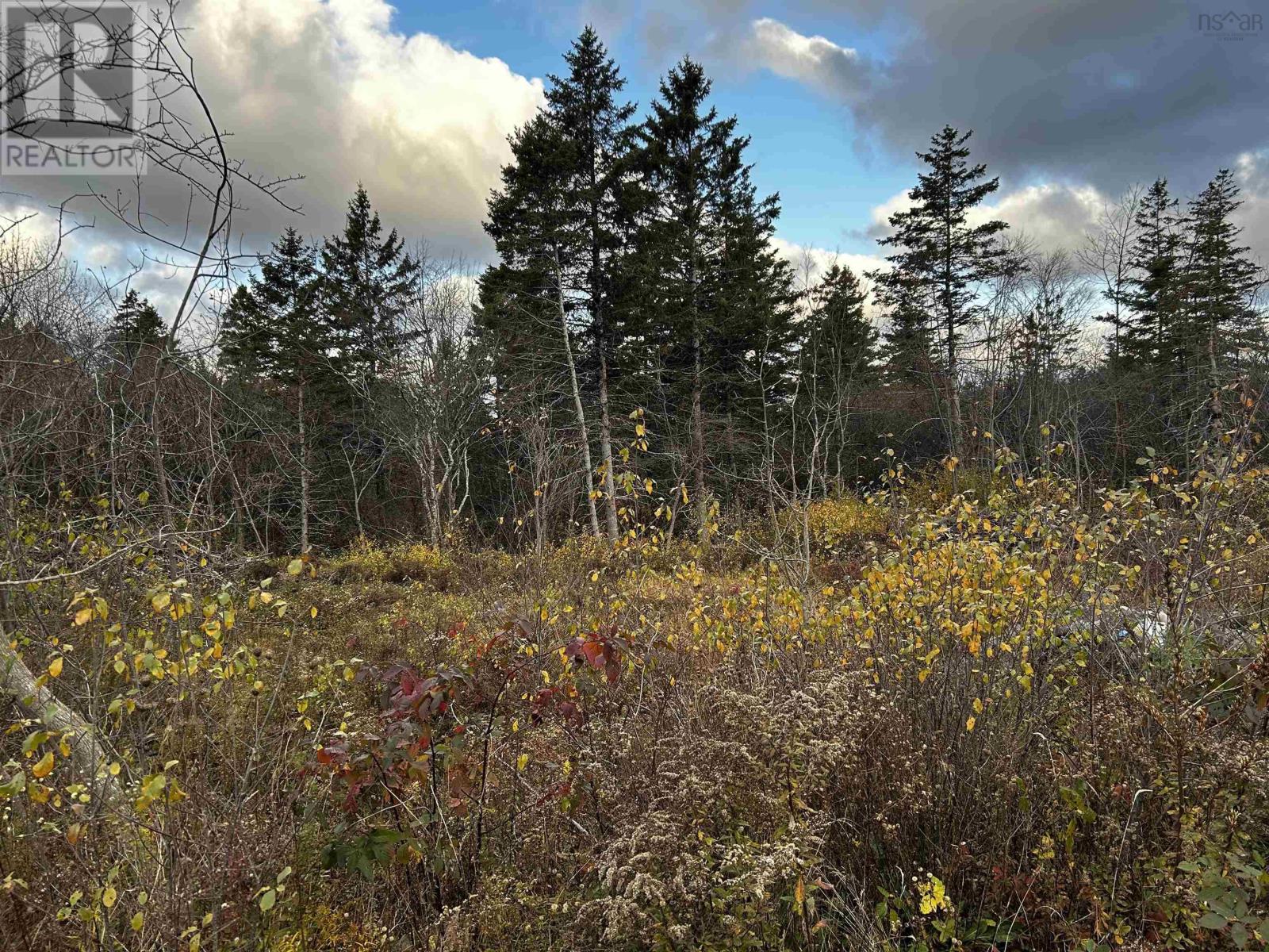 Property 10 of 16 of 381 Marshalltown Road