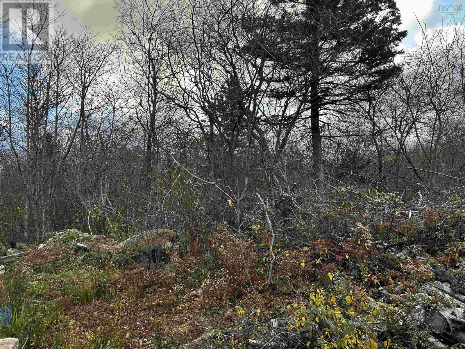 Property 7 of 16 of 381 Marshalltown Road