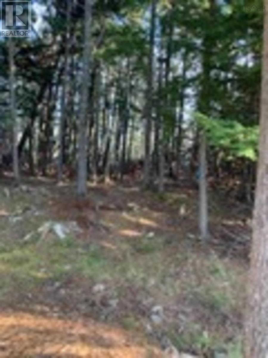 Property 3 of 6 of 18 Acres Highway 256