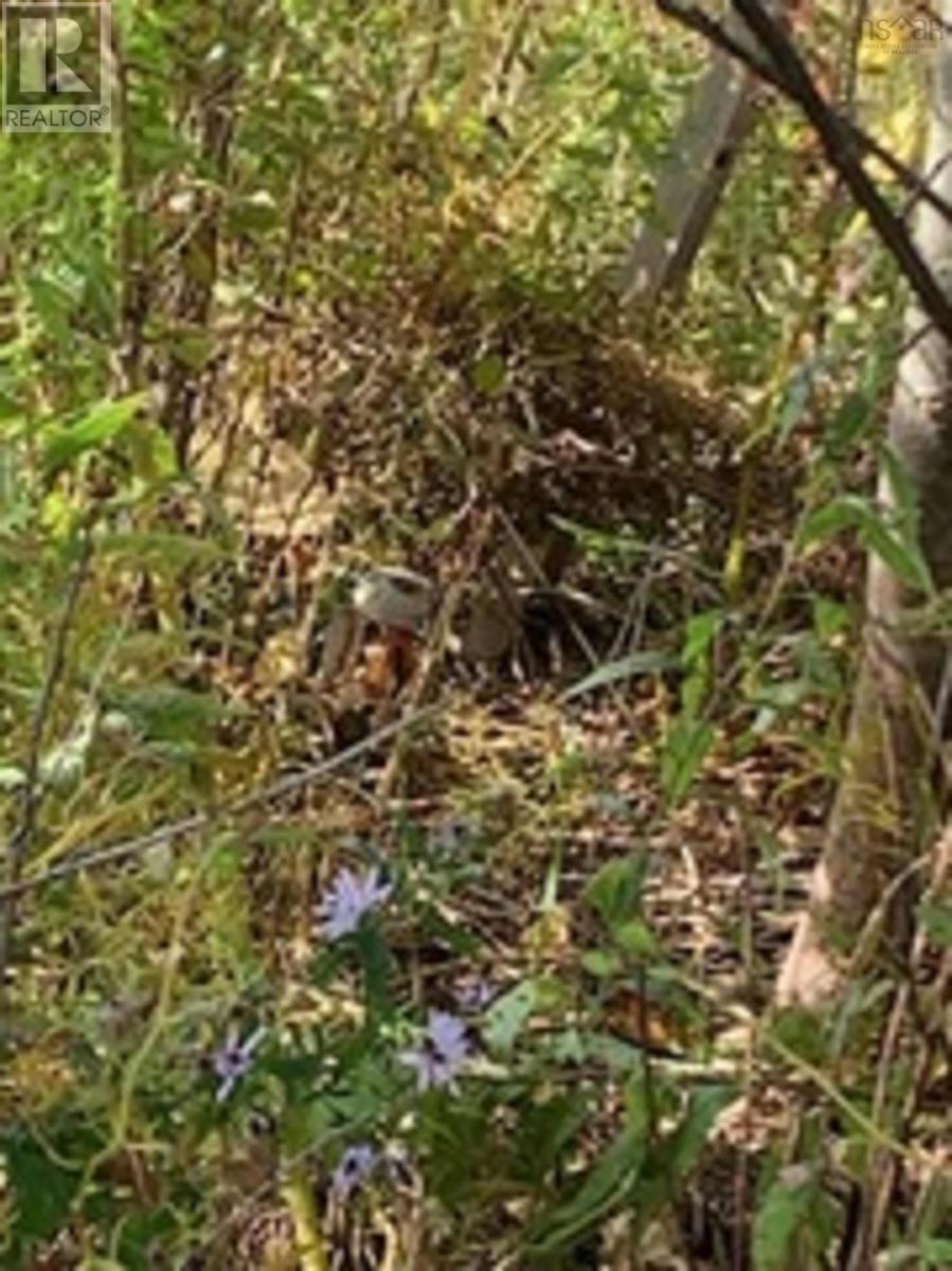 Property 2 of 6 of 18 Acres Highway 256