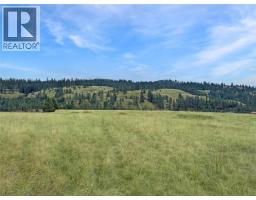 Lot 14 Thomet Avenue, Midway, BC V0H1M0 Photo 9