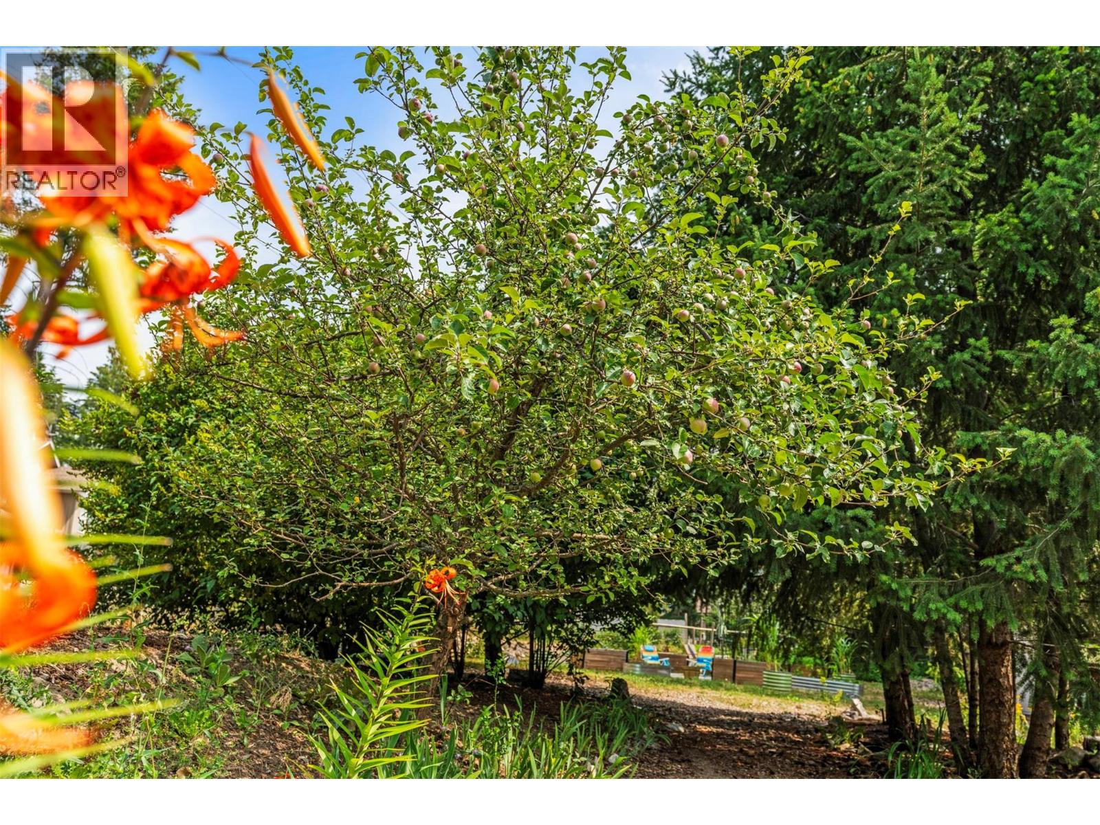 2907 Gyp Road, Falkland