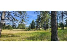 Letcher Street Lot# Parcel A, Elko, BC V0B1T3 Photo 17