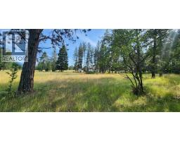 Letcher Street Lot# Parcel A, Elko, BC V0B1T3 Photo 10