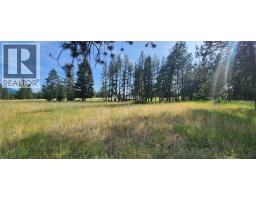 Letcher Street Lot# Parcel A, Elko, BC V0B1T3 Photo 8