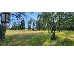 Letcher Street Lot# Parcel A, Elko, BC V0B1T3 Photo 16