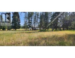 Letcher Street Lot# Parcel A, Elko, BC V0B1T3 Photo 19