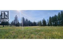 Letcher Street Lot# Parcel A, Elko, BC V0B1T3 Photo 18