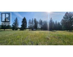 Letcher Street Lot# Parcel A, Elko, BC V0B1T3 Photo 15