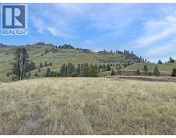 Lot 3 Thomet Avenue, Midway, BC V0H1M0 Photo 6