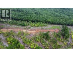 Lot 14 Crabbe Mountain, Central Hainesville, NB E6E1E3 Photo 12