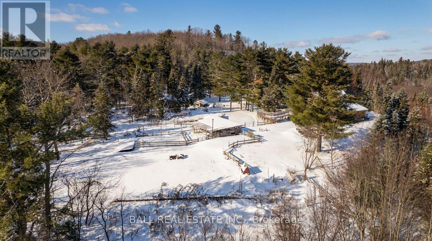 146 BUCK HILL ROAD - 7