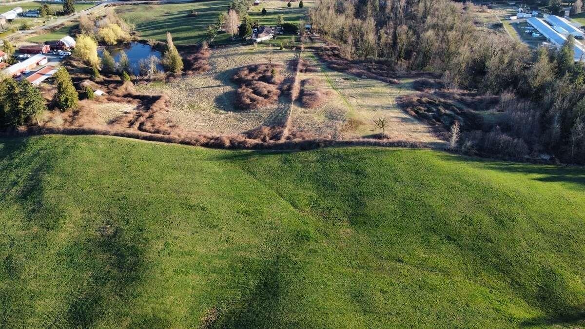 House in Abbotsford - Image 15