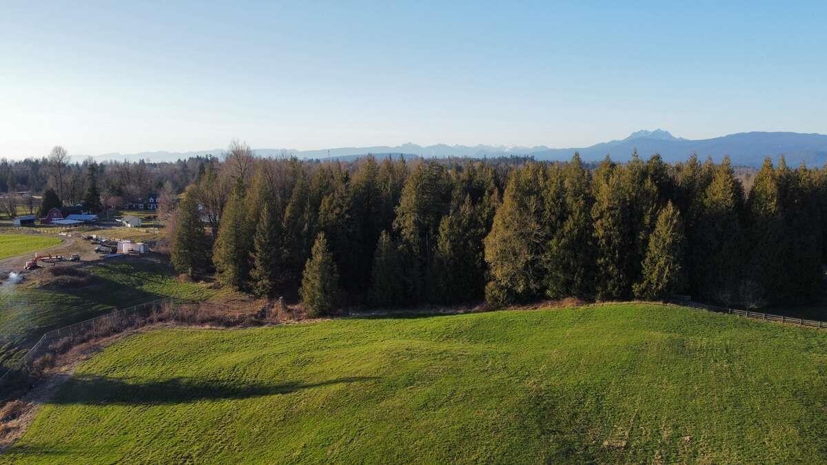 House in Abbotsford - Image 23