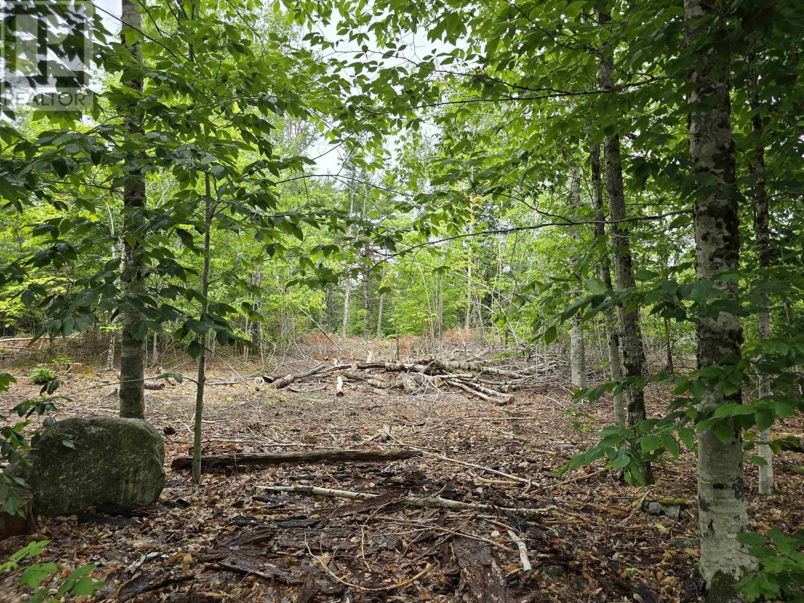 Property 30 of 30 of Lot 1 Selig Road