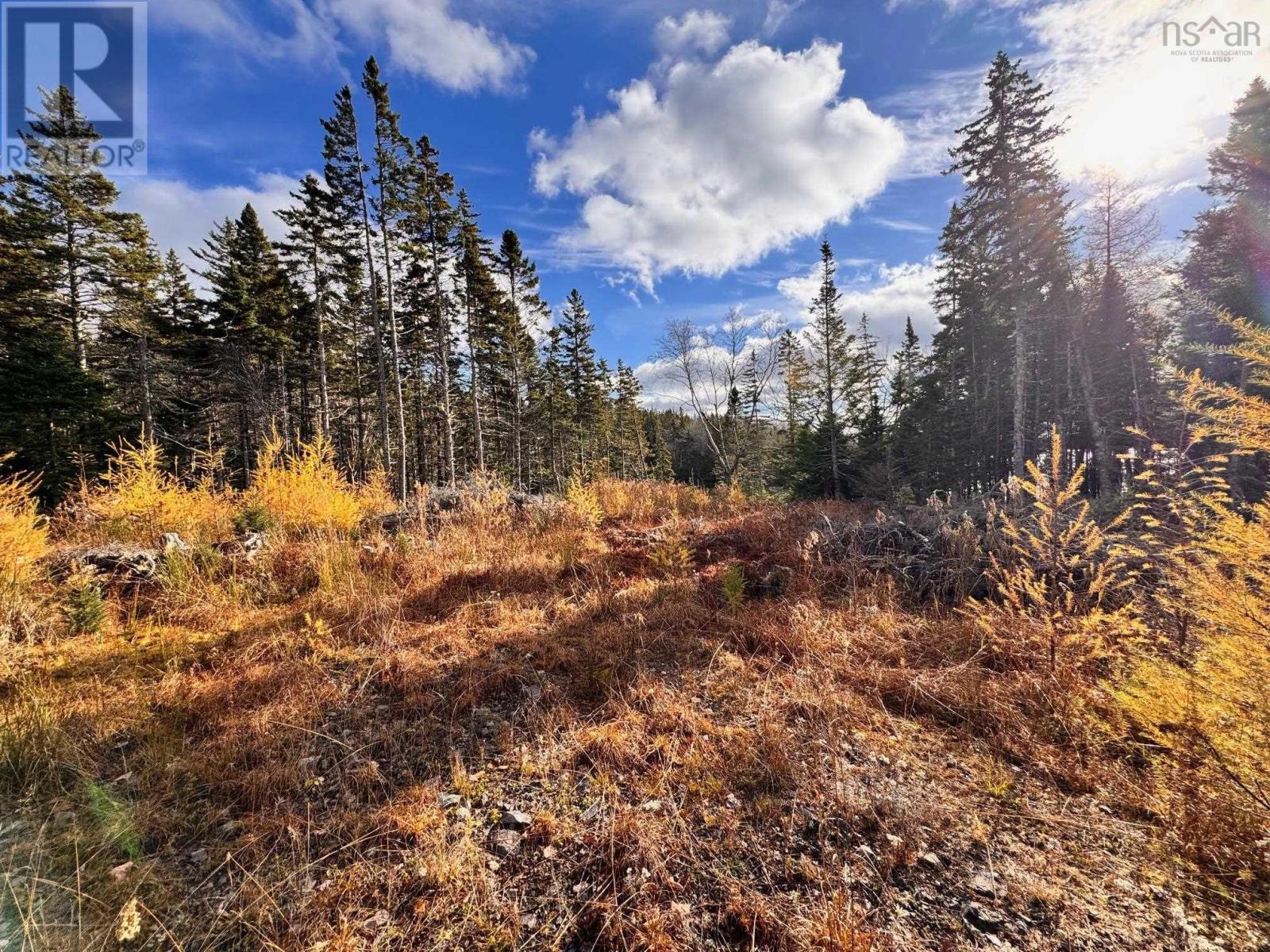 Property 21 of 24 of Lot 1A-17 Maple Drive