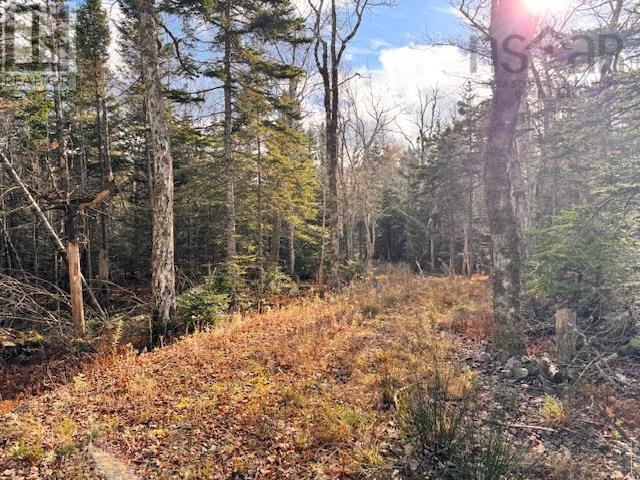 Property 15 of 24 of Lot 1A-17 Maple Drive