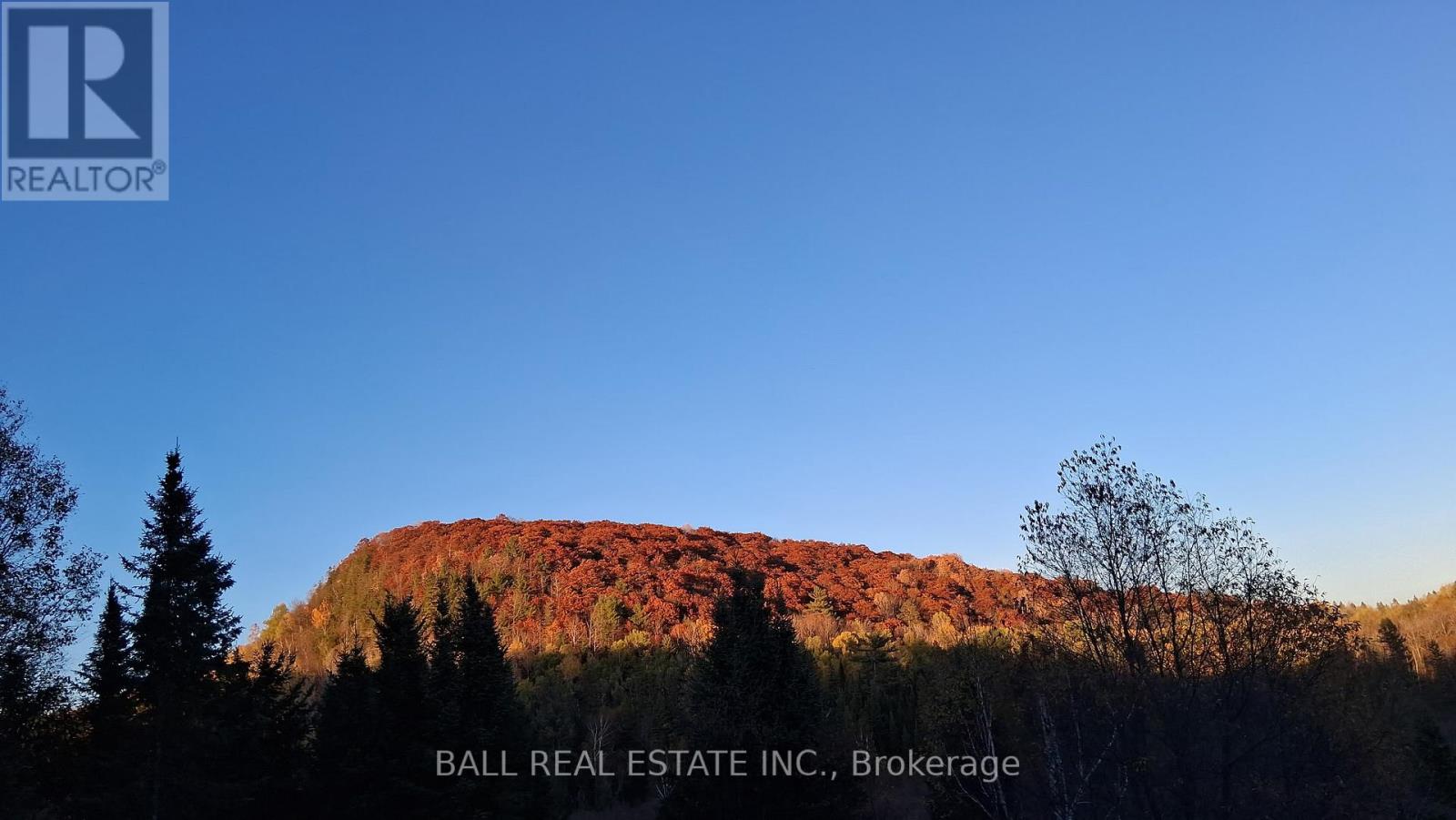 146 BUCK HILL ROAD - 38