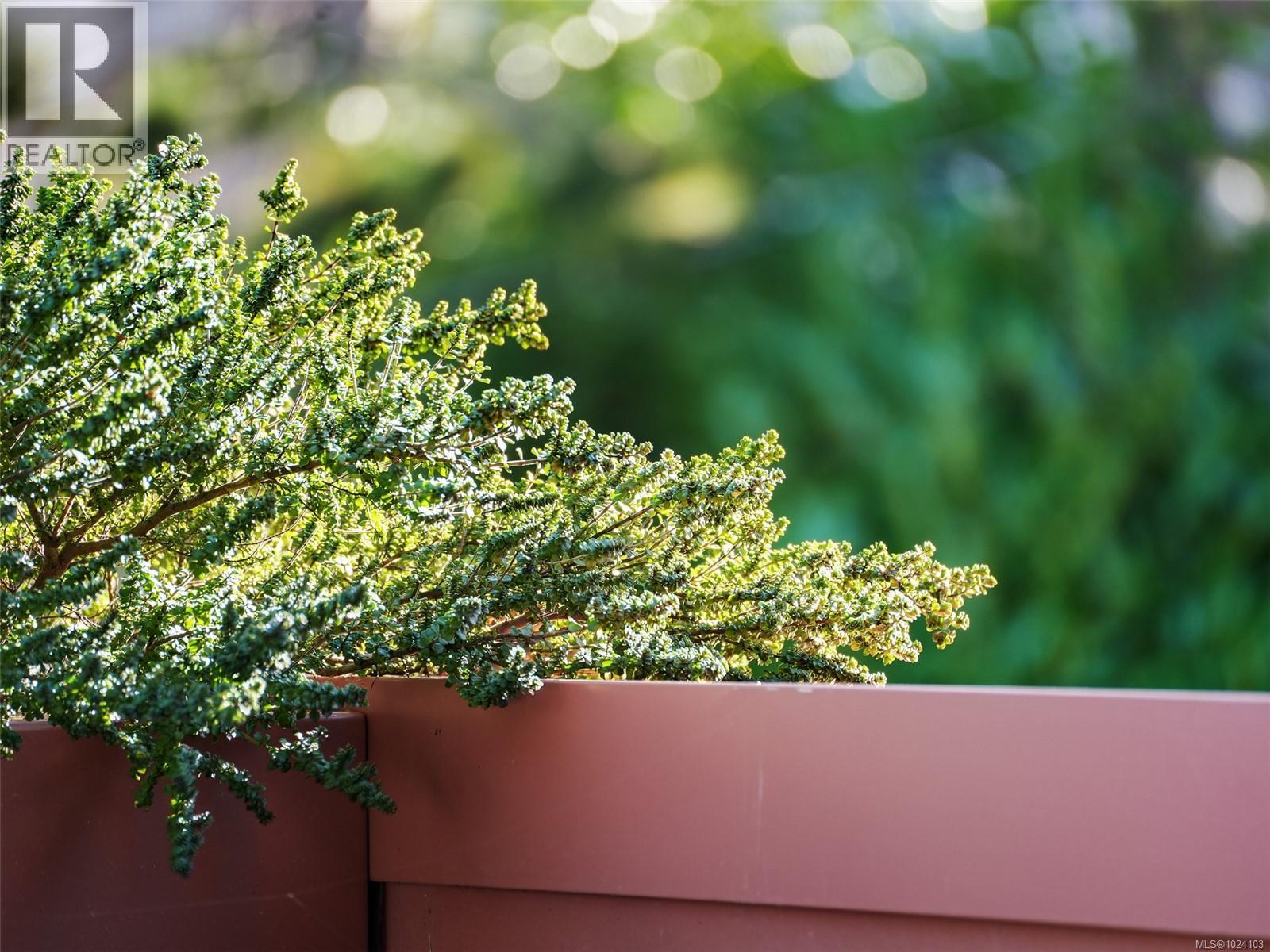 203 430 Parry St, Victoria