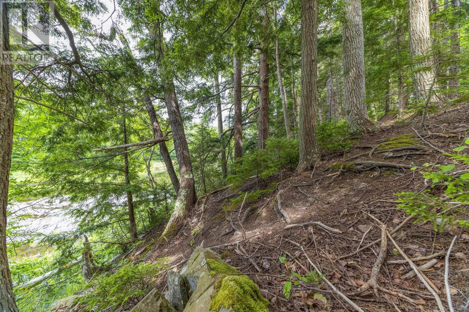 Property 13 of 15 of River Road