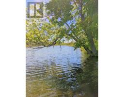 Third Lot Beach South Road, Kagawong, ON P0P1J0 Photo 11