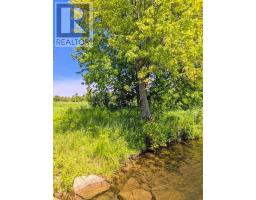 Third Lot Beach South Road, Kagawong, ON P0P1J0 Photo 12