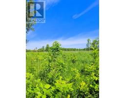 Second Lot Beach South Road, Kagawong, ON P0P1J0 Photo 13