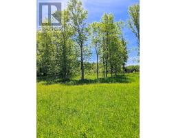 Second Lot Beach South Road, Kagawong, ON P0P1J0 Photo 14