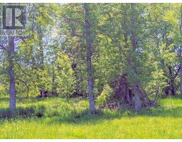 Second Lot Beach South Road, Kagawong, ON P0P1J0 Photo 16