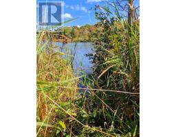 Second Lot Beach South Road, Kagawong, ON P0P1J0 Photo 20