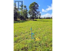 Second Lot Beach South Road, Kagawong, ON P0P1J0 Photo 6