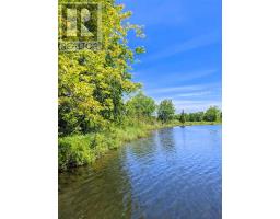 Second Lot Beach South Road, Kagawong, ON P0P1J0 Photo 9