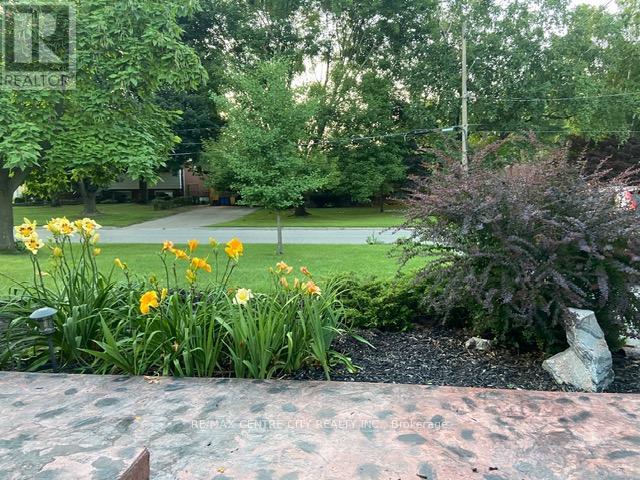 71 SUNRAY AVENUE Property Photo