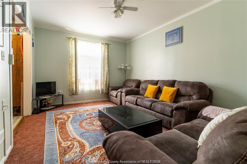 562 DOUGALL - 7