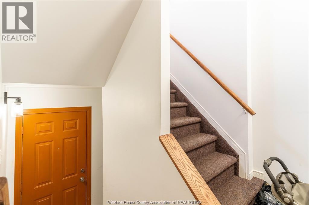 562 DOUGALL - 18