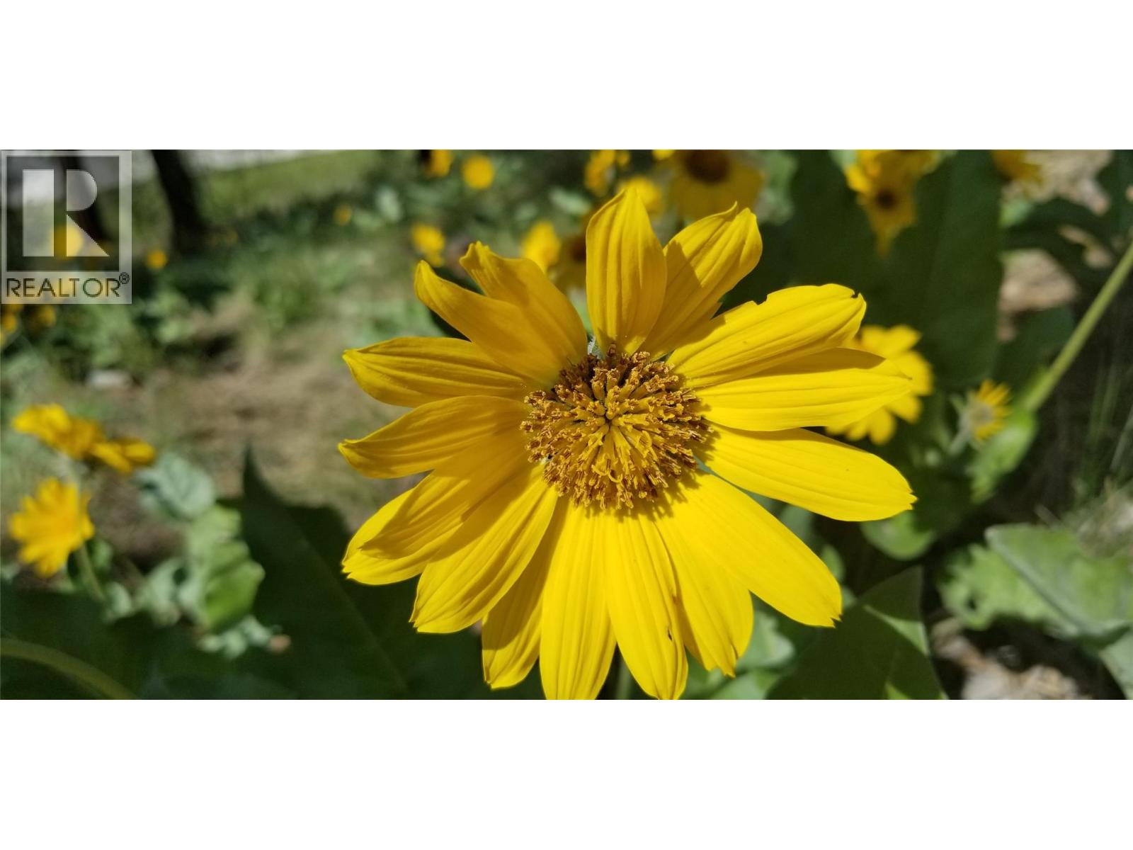  1785 Cathy Court, Kelowna