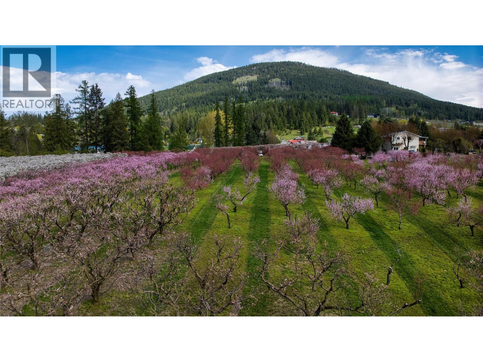  2813 3 Highway, Creston - Image 1
