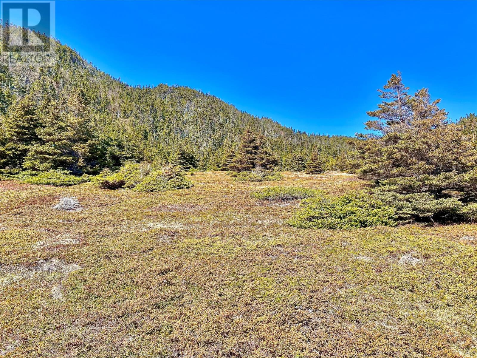 0 (A) FORT POINT Road - Photo 4 of 6, TRINITY, Newfoundland & Labrador