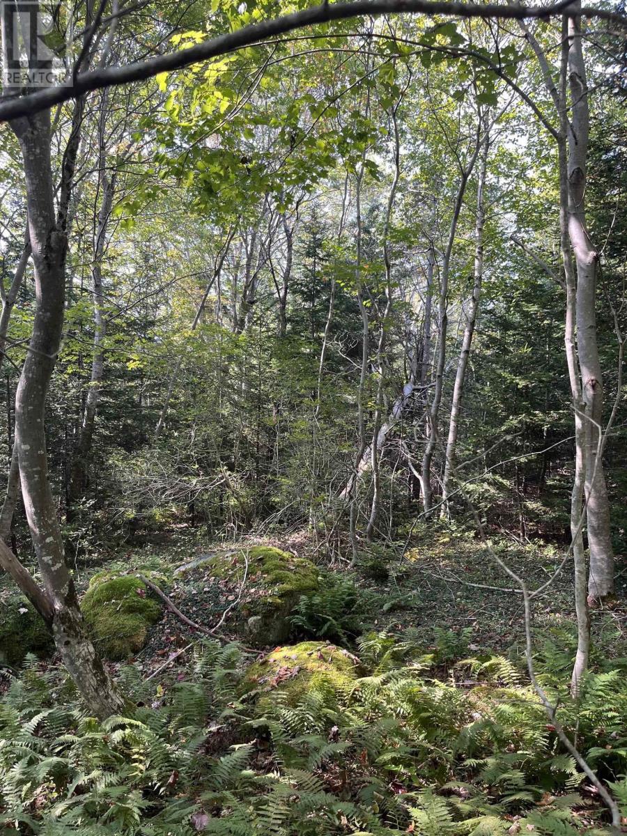 Property 16 of 22 of Lot 340 Highway