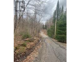 1154 Delia Road, Bracebridge, ON P0B1L0 Photo 10