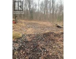 1154 Delia Road, Bracebridge, ON P0B1L0 Photo 6